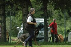 Giughem2011-294