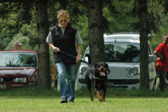 Giughem2011-296