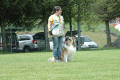 Giughem2011-297