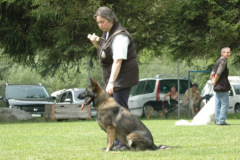 Giughem2011-299