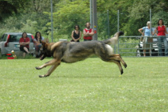 Giughem2011-300