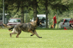 Giughem2011-301