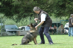 Giughem2011-302
