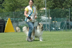 Giughem2011-303