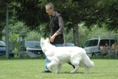 Giughem2011-305