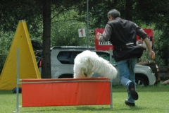 Giughem2011-308