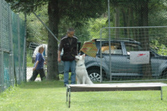 Giughem2011-309