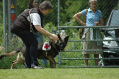 Giughem2011-318