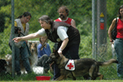 Giughem2011-319
