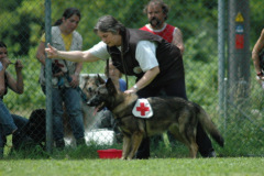 Giughem2011-320