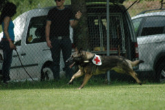 Giughem2011-325
