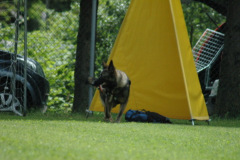 Giughem2011-328