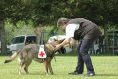 Giughem2011-330