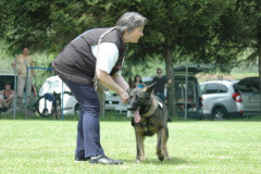 Giughem2011-331