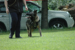 Giughem2011-335