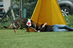 Giughem2011-337