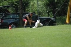 Giughem2011-34