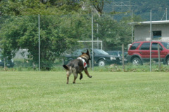 Giughem2011-341