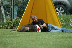 Giughem2011-342