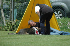 Giughem2011-343
