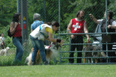 Giughem2011-344