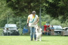 Giughem2011-354