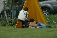 Giughem2011-362