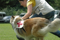 Giughem2011-363