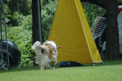 Giughem2011-365