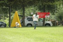 Giughem2011-369