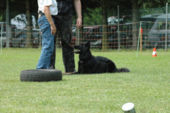 Giughem2011-57