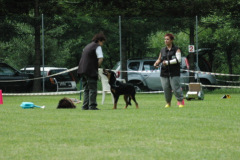 Giughem2011-58