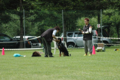 Giughem2011-59