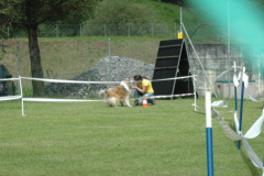 Giughem2011-66