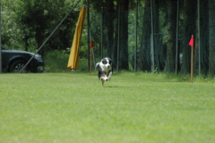 Giughem2011-77