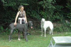 Giughem2011-93