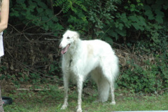 Giughem2011-94