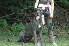 Giughem2011-95