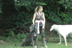 Giughem2011-96