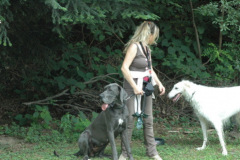 Giughem2011-97