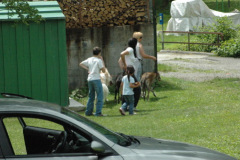 Giughem2011-98