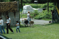 Giughem2011-99