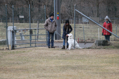 IMG_5124